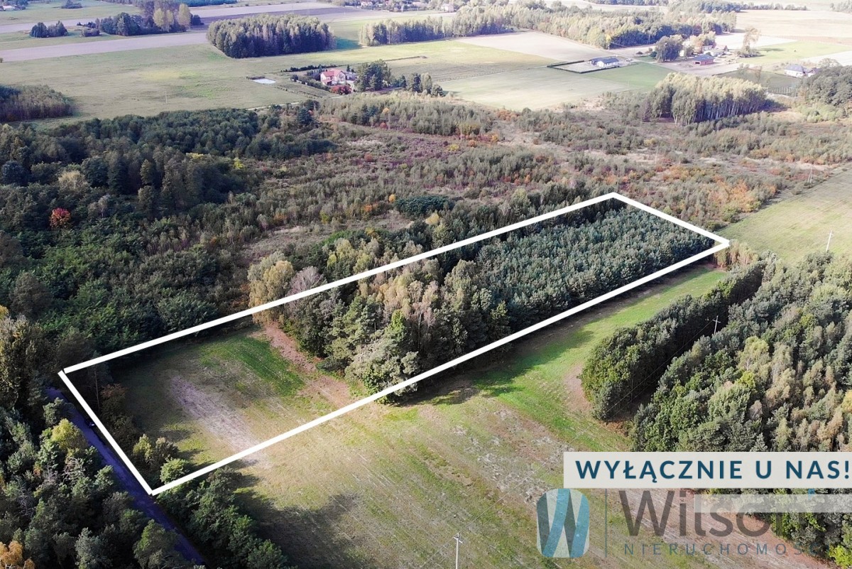 Residential and commercial plot of land Gąba