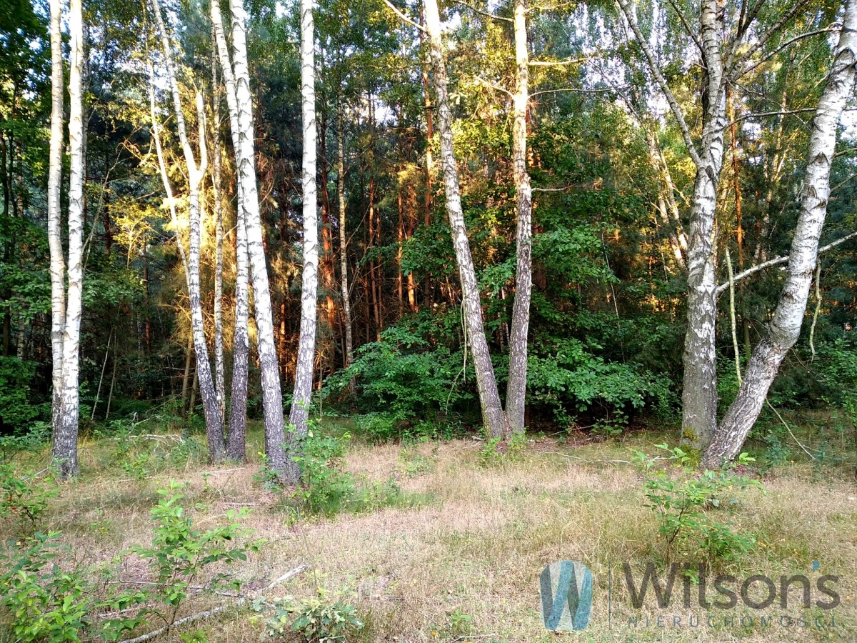 3607 m2 Recreational plot in a lovely setting