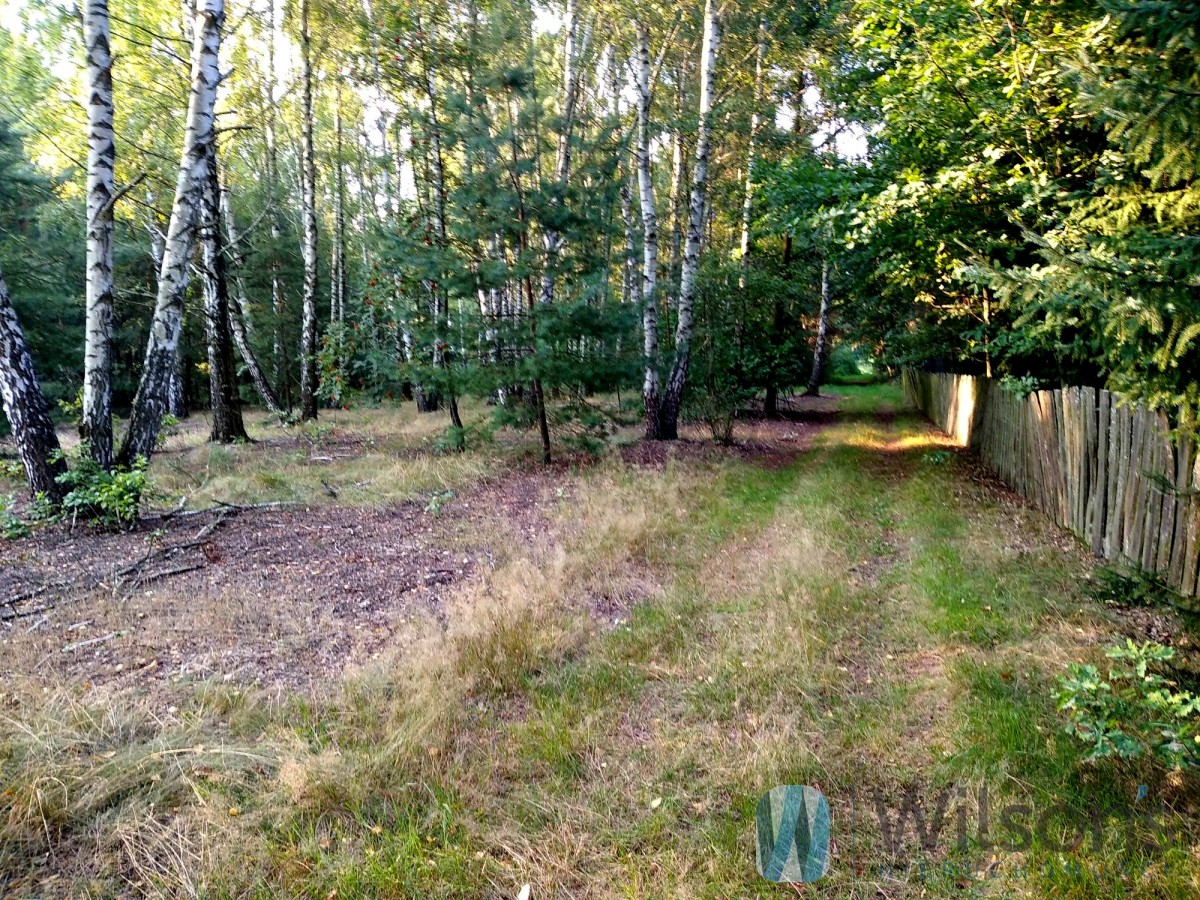 1800 m2 Construction and recreation plot by the forest